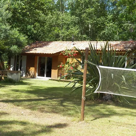 Piscine Interieure Privatif, Parc Arbore 3000 M2, Ocean Et * Naujac-sur-Mer