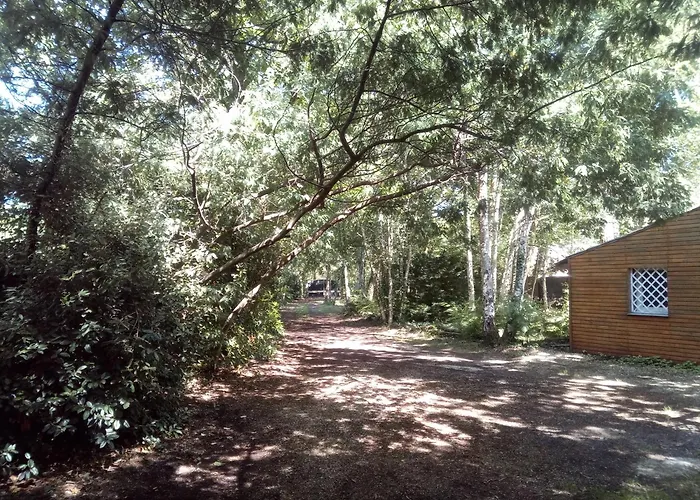 Dom wakacyjny Piscine Interieure Privatif, Parc Arbore 3000 M2, Ocean Et Naujac-sur-Mer